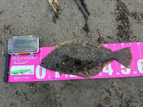 新舞子海岸（富津）