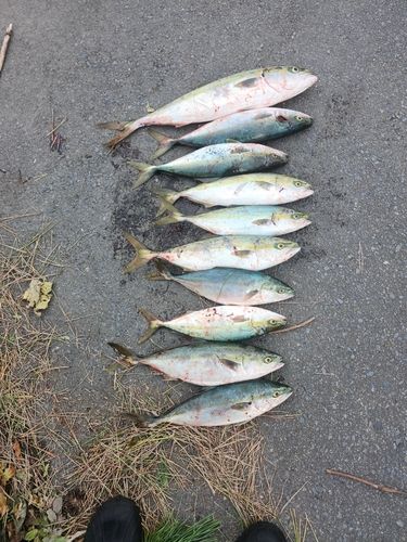 三陸海岸（青森）