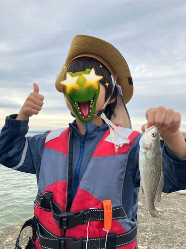 イシモチの釣果