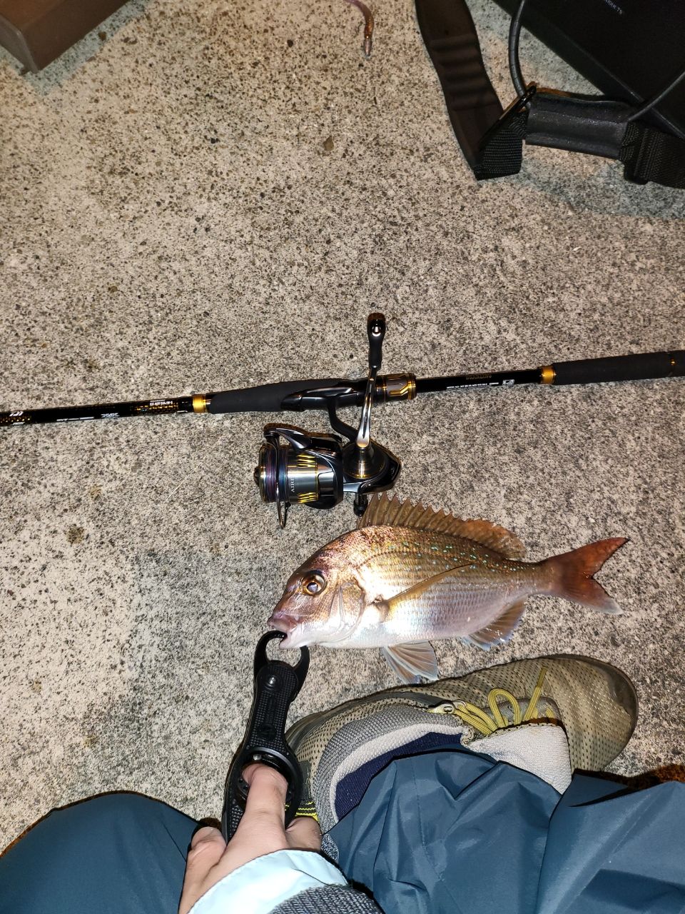 DAIWA 21モアザン ブランジーノ EX AGS 93L/M-Sの最安値・インプレ