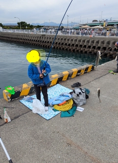 イシモチの釣果