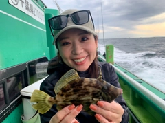 カワハギの釣果