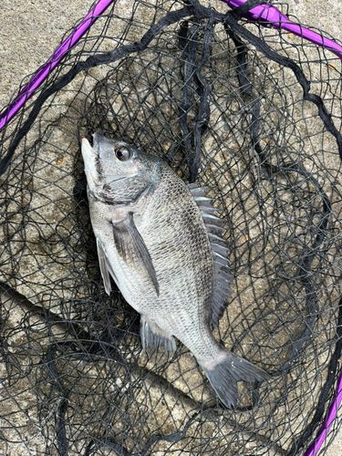 千葉港中央埠頭