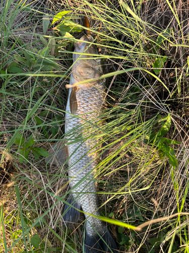 酒井スポーツ広場