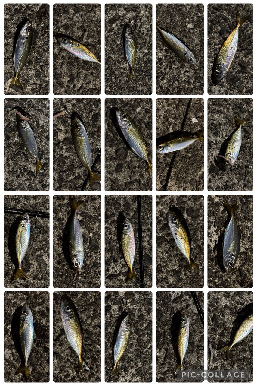 アピア　グランデージライト61 アピア GRANDAGE LITE 61 (ロッド・釣竿) 価格比較 - 価格.com