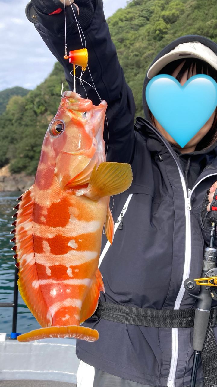 まぁーたんさんの釣果 1枚目の画像