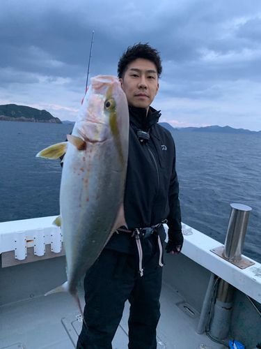 オオモンハタの釣果