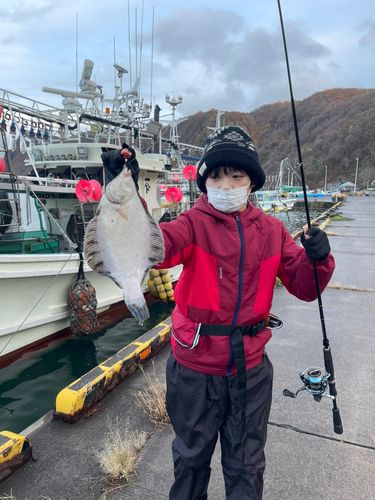 クロガシラガレイの釣果