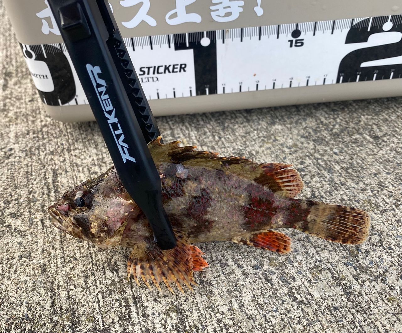 Major Craft 鯵道　5G AD5-SS82L/AJI メジャークラフト 鯵道 5G AD5-S582UL/AJI (ロッド・釣竿) 価格