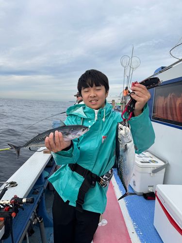 ソウダガツオの釣果