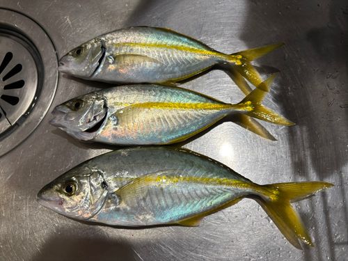 興津港海浜公園