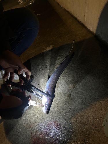 金沢水際線緑地（福浦岸壁）