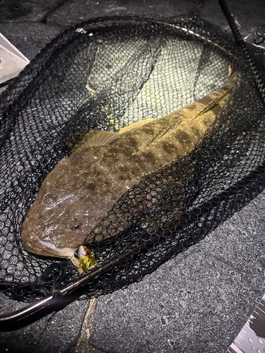 長良川揖斐川合流点