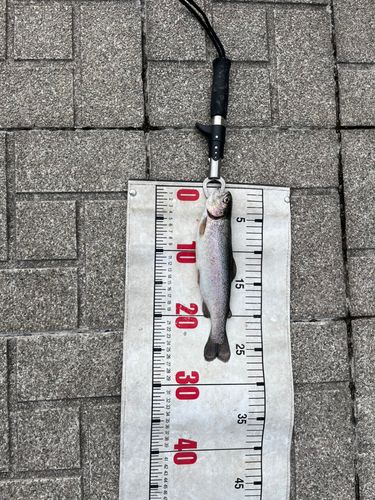 サンピア伊賀プールフィッシング