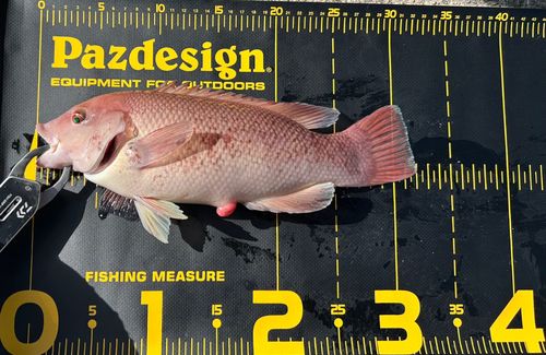 三陸海岸（岩手）