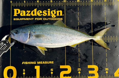 三陸海岸（岩手）