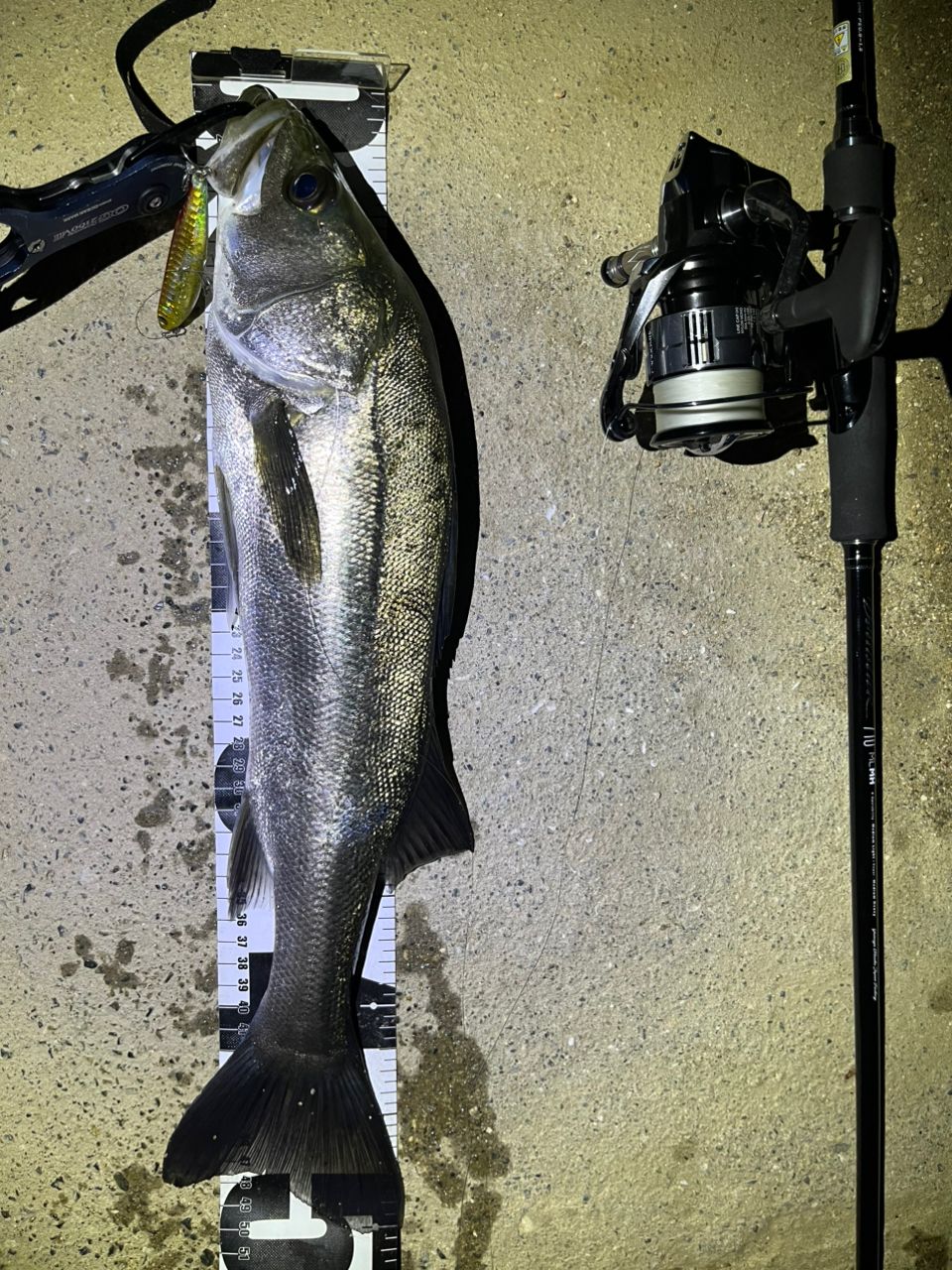 SHIMANO 23ヴァンキッシュ C3000MHGの最安値・インプレ・釣果 | 本音の