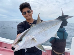 カンパチの釣果