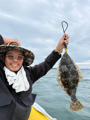 ヒラメの釣果