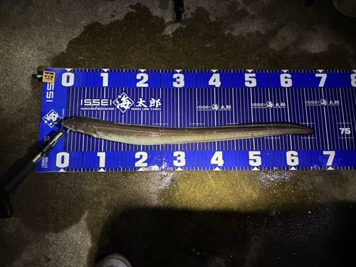 三陸海岸（宮城）