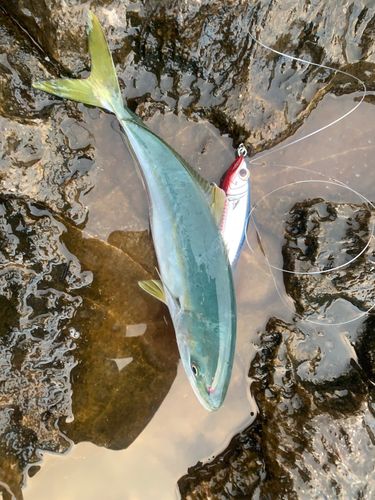 三陸海岸（宮城）