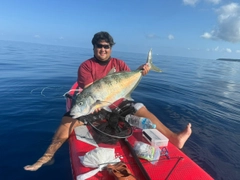 ホシカイワリの釣果