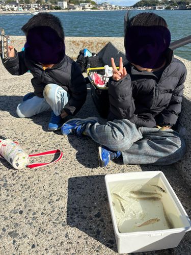 アカハゼの釣果