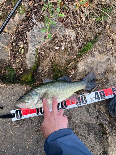 知多半島野池群