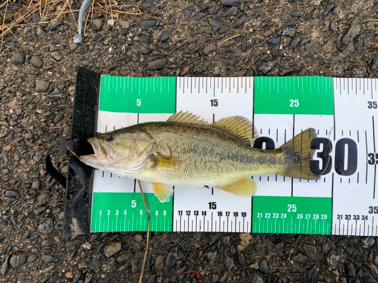 SHIMANO 22エクスプライド 172ML/Hの最安値・インプレ・釣果 | 本音の