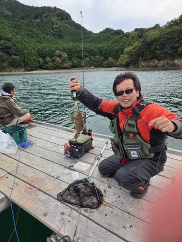 キジハタの釣果