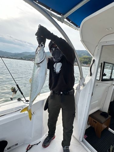 ハマチの釣果
