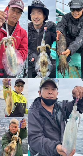 アオリイカの釣果