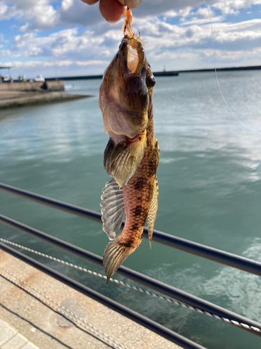 白子漁港（三重）