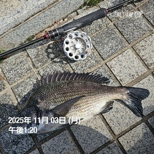 東京湾（アクアライン以北）