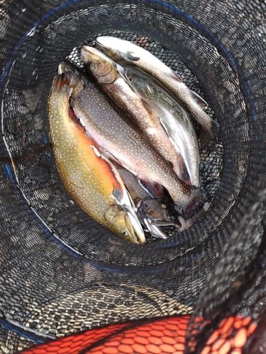 那須白河フォレストスプリングス