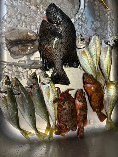 阿尾漁港（日高）