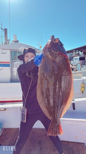 ヒラメの釣果