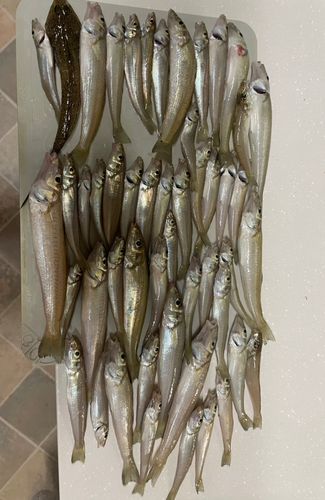 クレセントビーチ周辺