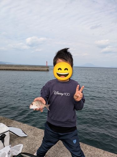 チャリコの釣果