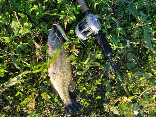 立田排水機場前