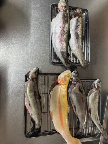 平谷湖のフィッシングスポット