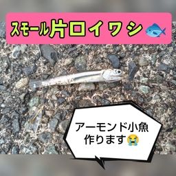 カタクチイワシ