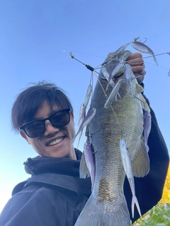 スモールマウスバスの釣果