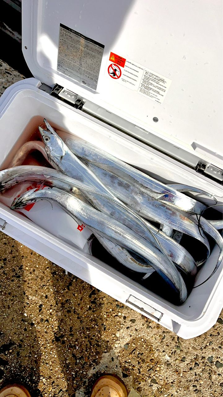 noriyuki0215さんの釣果 2枚目の画像