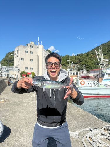 カツオの釣果