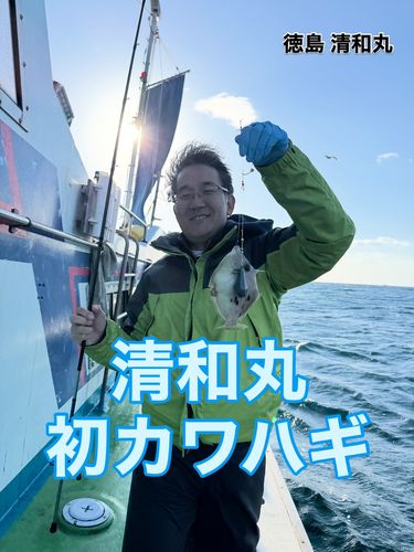 カワハギの釣果