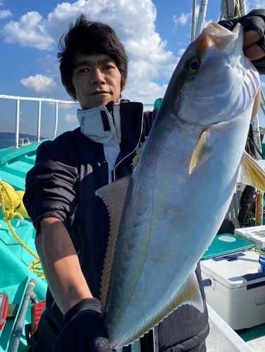 カンパチの釣果