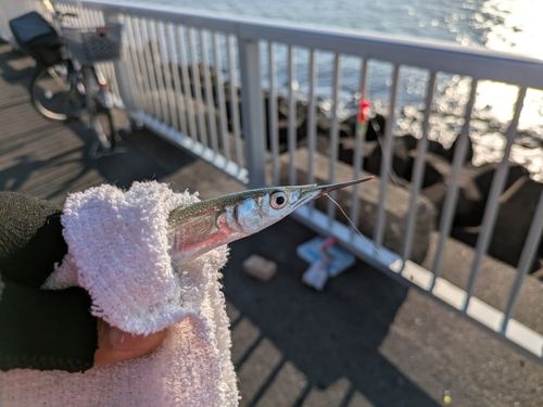 ディズニーリゾート付近