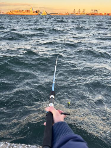 城南島海浜公園