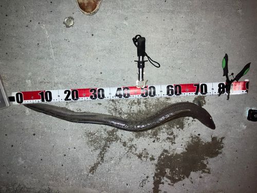 キラキラ公園（苫小牧西港）